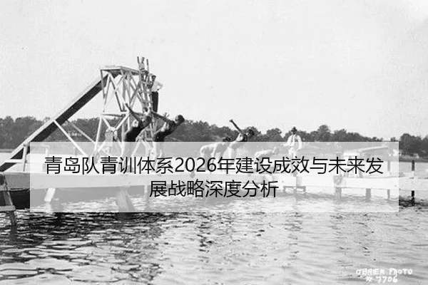 qing-dao-dui-qing-xun-ti-xi-nian-jian-she-cheng-xiao-yu-wei-lai-fa-zhan-zhan-lve-shen-du-fen-xi-2-479.jpg