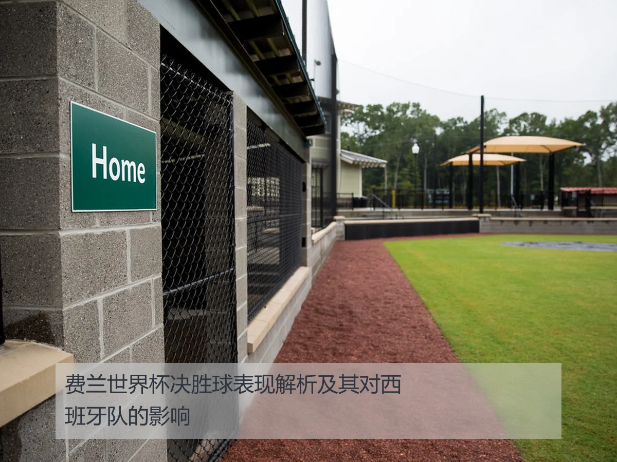 费兰世界杯决胜球表现解析及其对西班牙队的影响